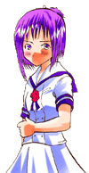 Imari pure