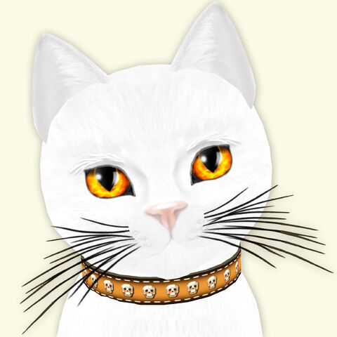 File:Halloween Kitty.jpg