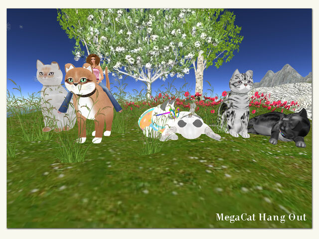 File:KittyCatS! - MegaCat Hang Out.jpg