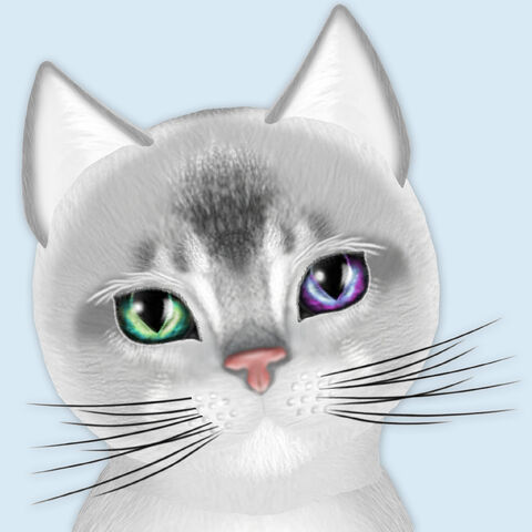 File:Lovely Aby.jpg