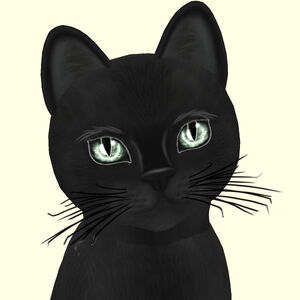 Russian Black