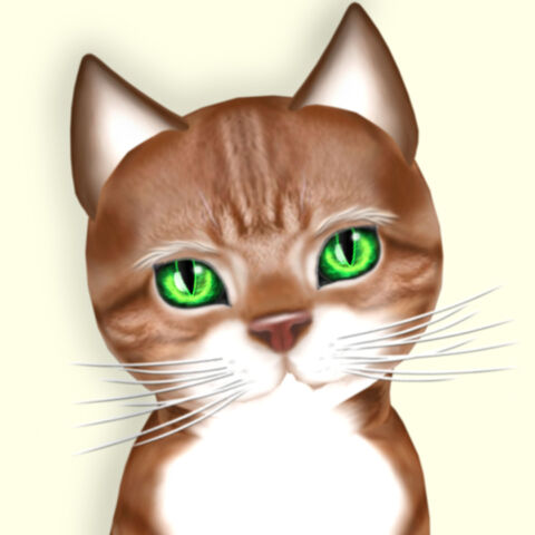 File:Red & White Tabby.jpg
