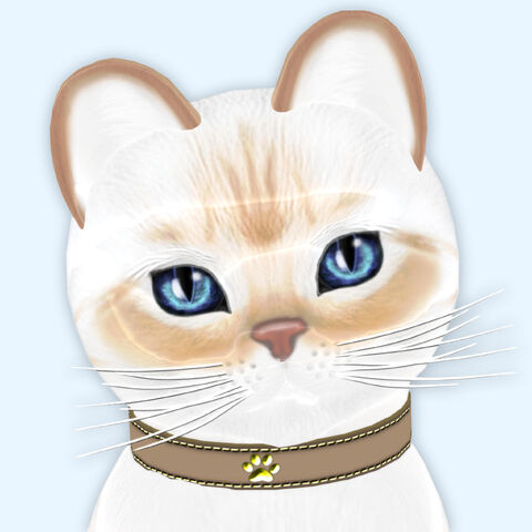 File:Star.jpg