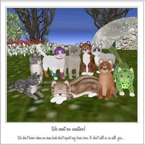File:KittyCatS went on vacation.jpg