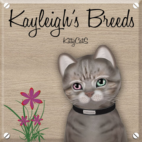 File:Kayleigh's Breeds 1024 x 1024.jpg