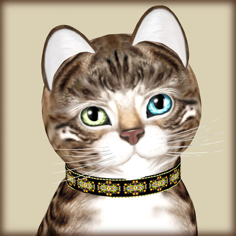 File:KittyCatS! -Bengal Tawny -.jpg