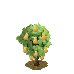 File:Pear last.png