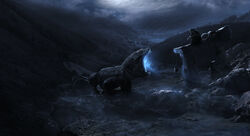 Draccus Phil McDarby.jpg