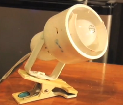 Lamps