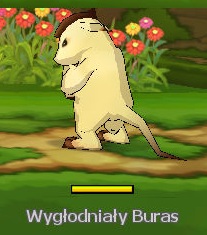 Plik:Wyg.Buras.jpg