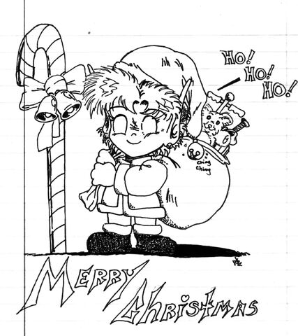 File:Snitchcat SDF Xmas.jpg
