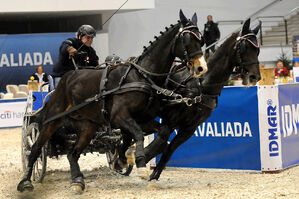 Cavaliada-2011-5
