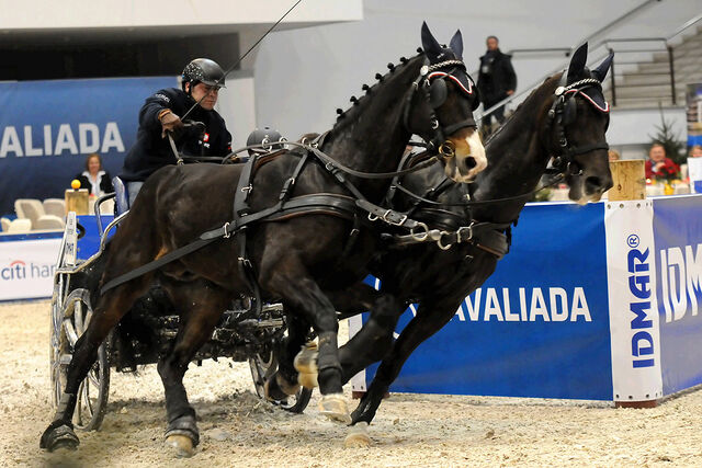 Plik:Cavaliada-2011-5.jpg