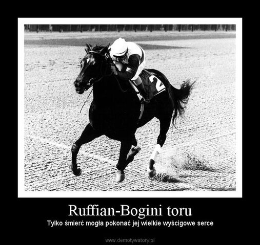 Plik:Ruffian1.jpg