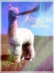 Alpacas with machete
