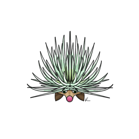 File:ShirubasimByKovolta.png