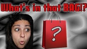 Whatsinthatbag2