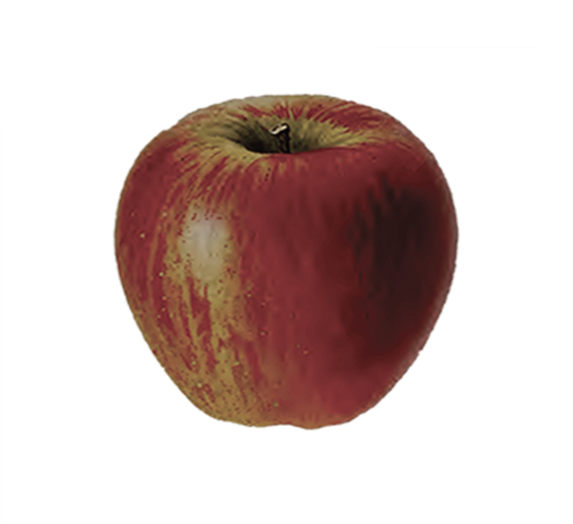 File:Apple.png