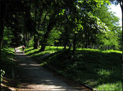Piastów 6