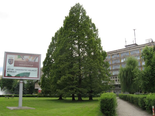 Plik:N21ew5.jpg