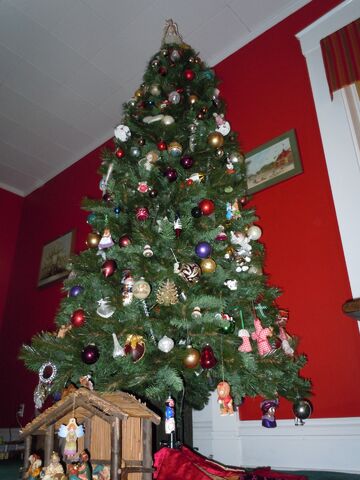 File:Tree.jpg