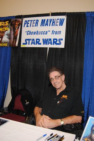 Mayhew