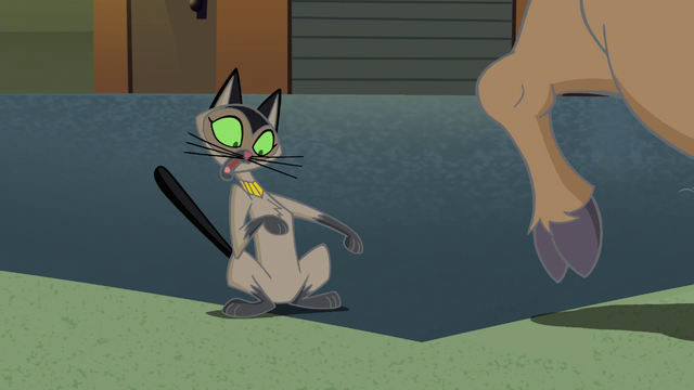 File:Vlcsnap-2015-02-20-03h43m45s69.png