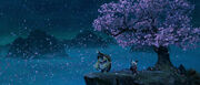 Shifu-8.jpeg