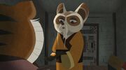 Shifu-4.jpeg