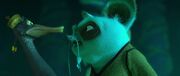 Shifu-5.jpeg