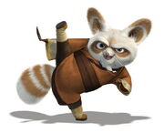 Shifu-43.jpeg