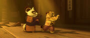 Shifu-33.jpeg