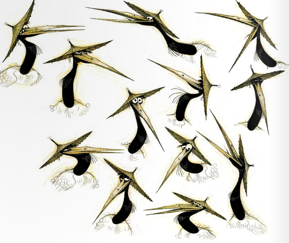 File:Picture 11.png