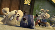 Staying-still-bunny