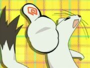 Negima00