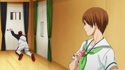 Kagami reaction.png