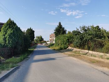 Plik:KurowUlicaKowalska.jpg