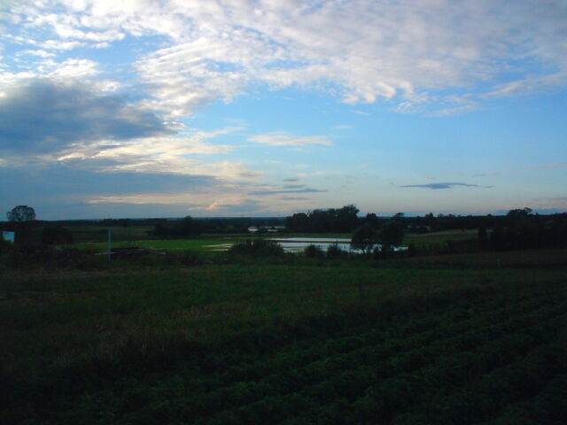 Plik:Kurowka02092010-4.jpg