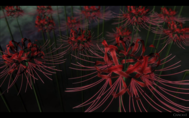 File:Red Flower.png