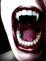 Bite