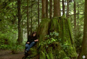 JessiOnStump