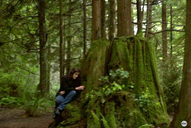 File:JessiOnStump.jpg