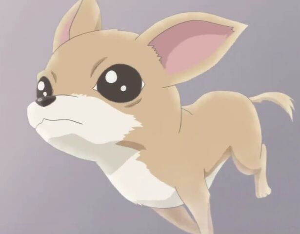 File:Chihuataro.jpg
