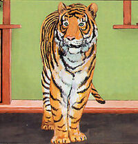 Tiger