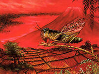 Locusts