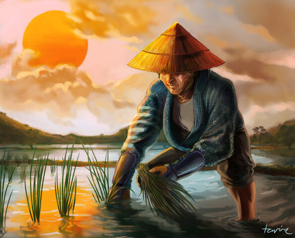 File:Rice Farmer.jpg