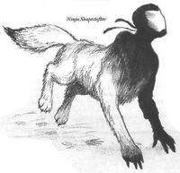 Ninja Shapeshifter 2