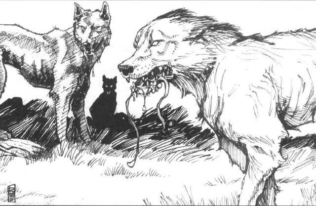 File:Wild Dogs.jpg