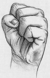 Air Fist