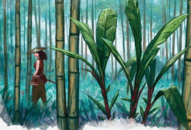 File:Bamboo Forest.jpg